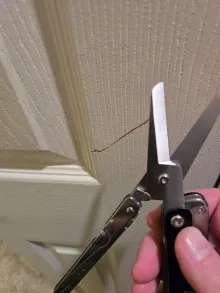 Roxon S501U